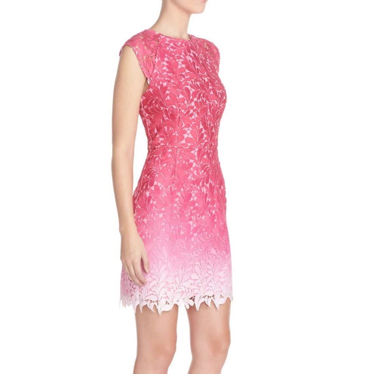 Pink Ombre Lace Sheath Dress
